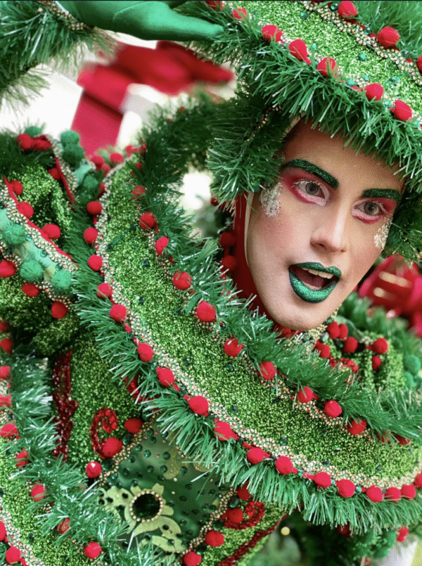 Pinheiro de Natal - Imagem 6
