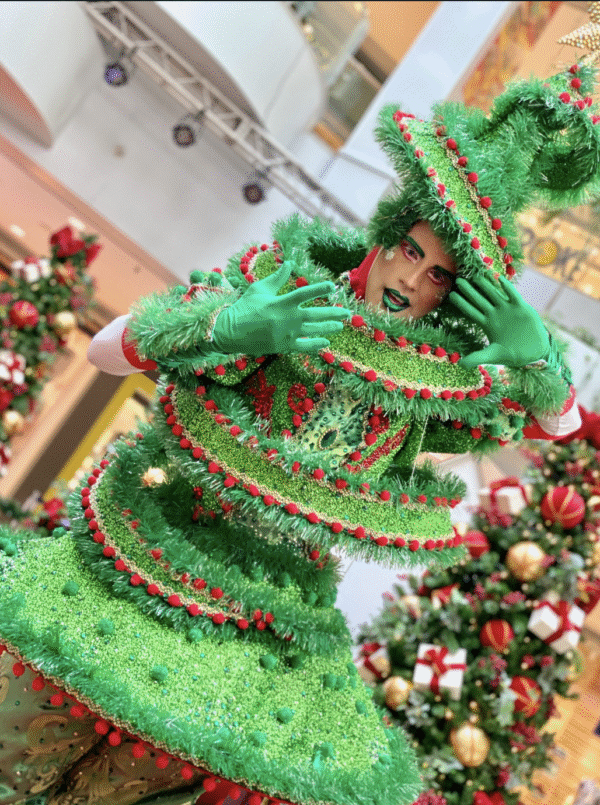Pinheiro de Natal - Imagem 8