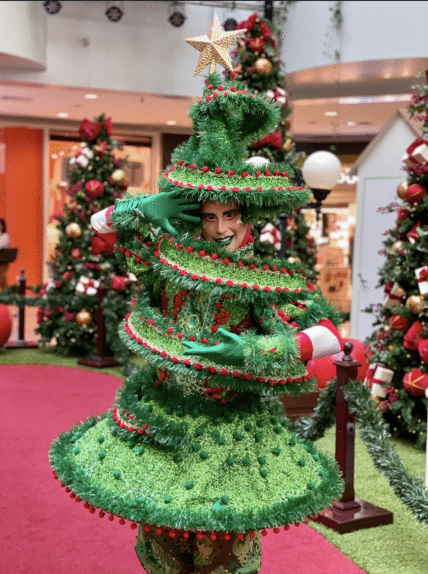Pinheiro de Natal