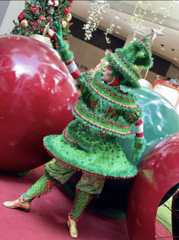Pinheiro de Natal - Imagem 4