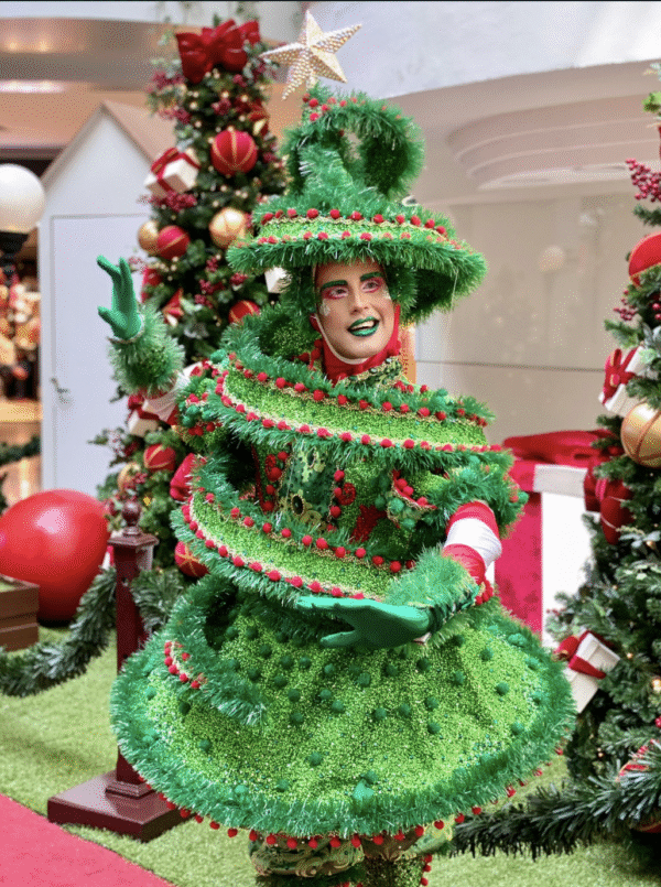 Pinheiro de Natal - Imagem 3