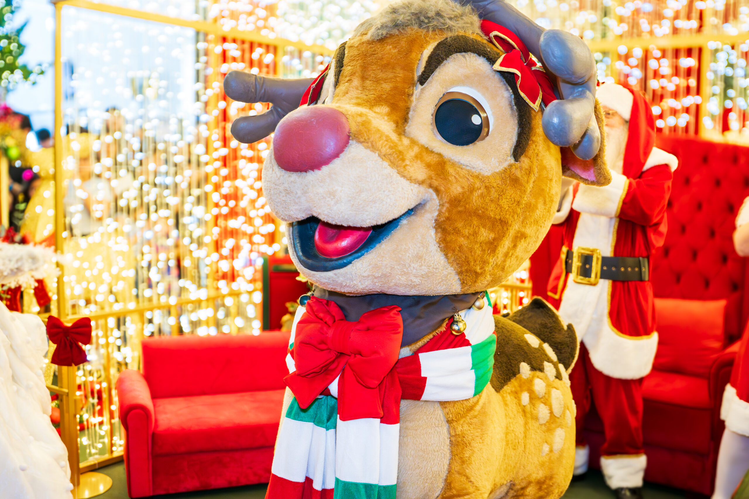 Rena Haley - Imagem 3