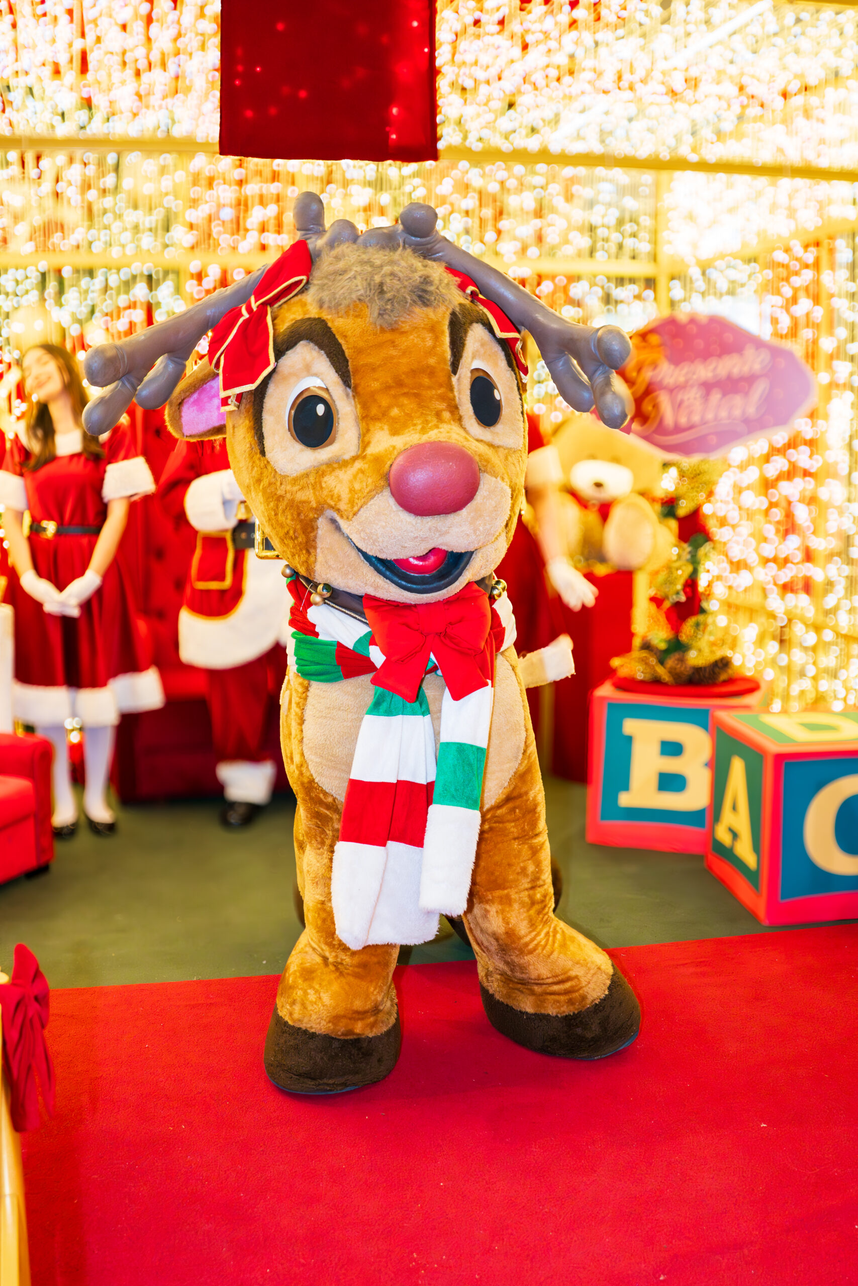 Rena Haley - Imagem 2