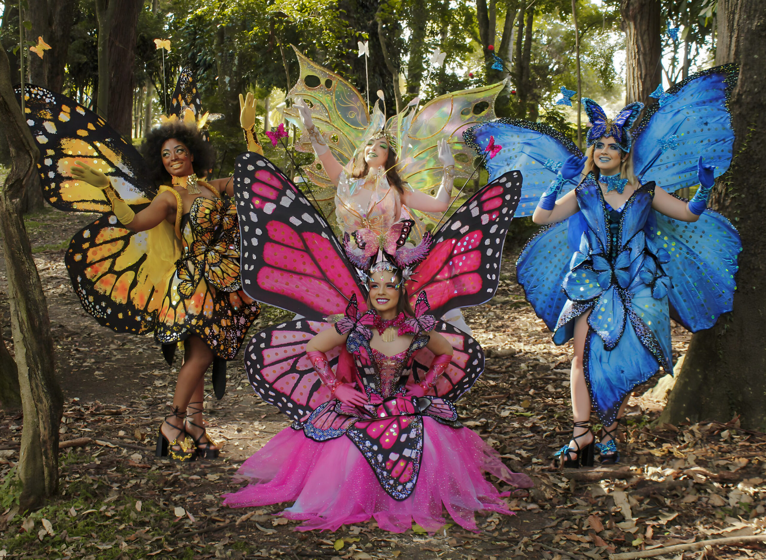 Fadas Borboletas - Imagem 6