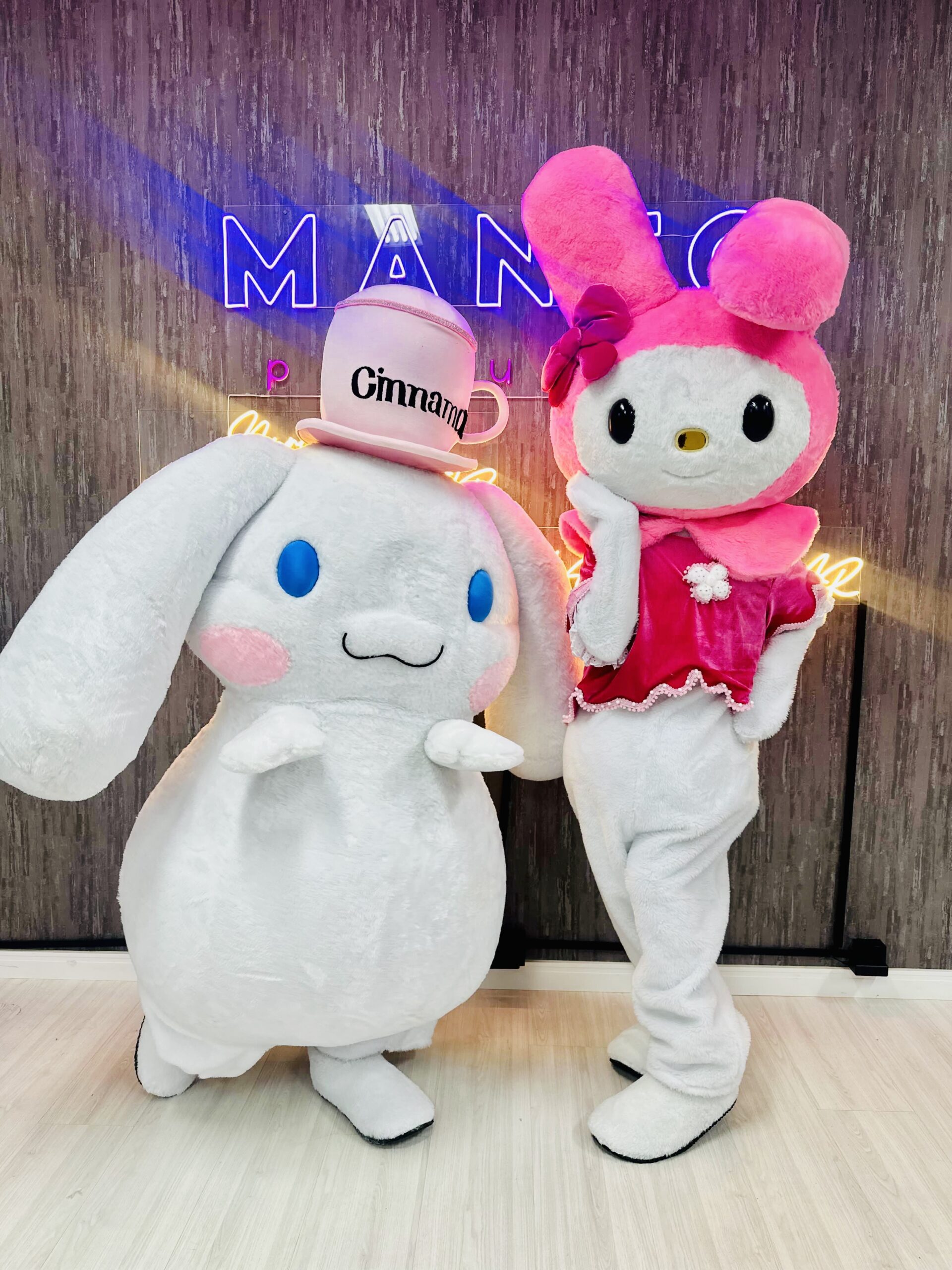 Turma da Hello Kitty - Imagem 7