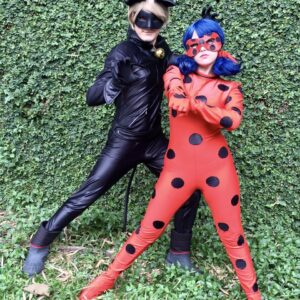 Miraculous/LadyBug