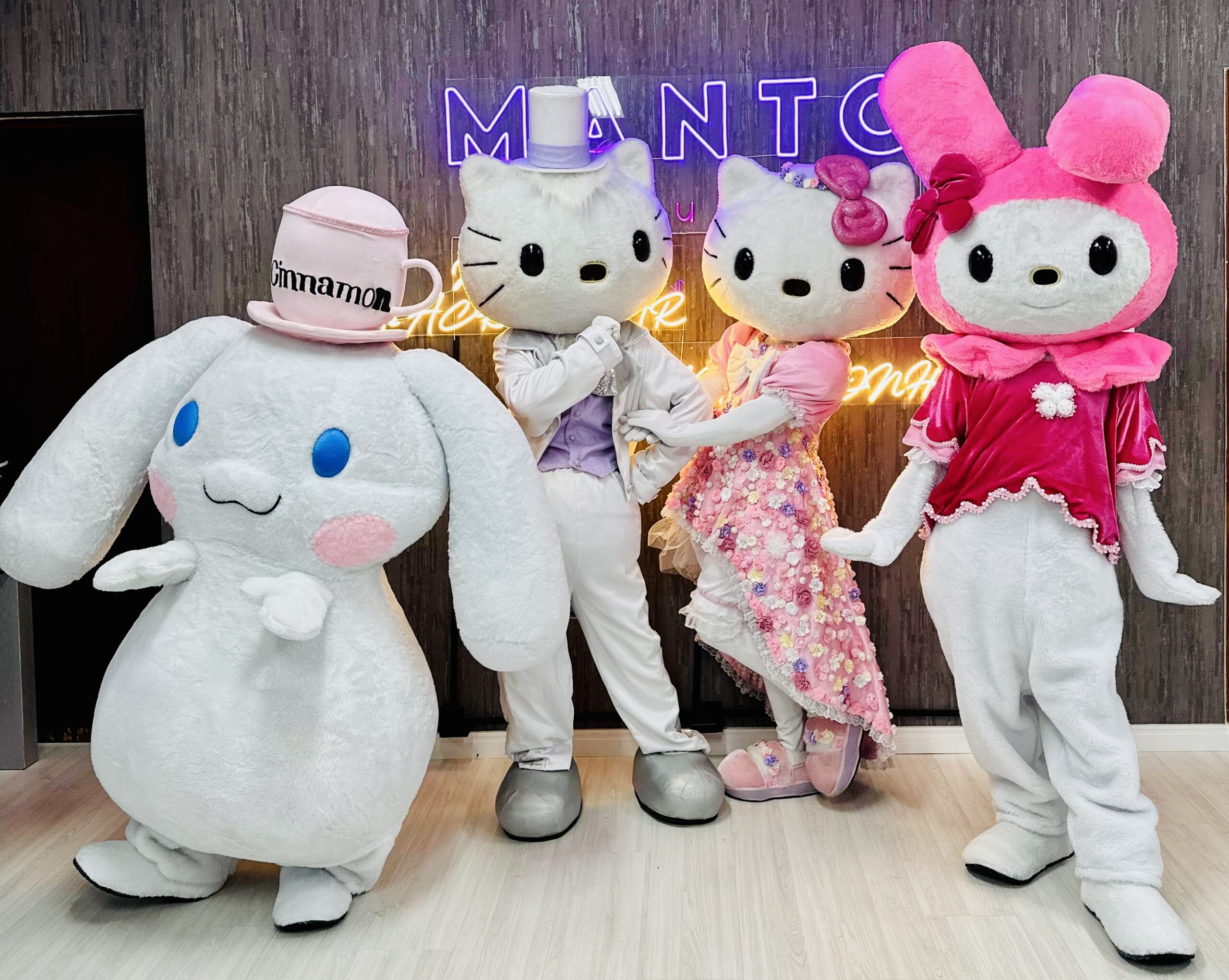 Turma da Hello Kitty - Imagem 3