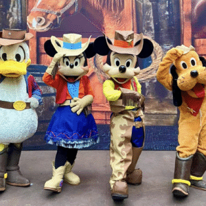 Turma Disney Cowboy