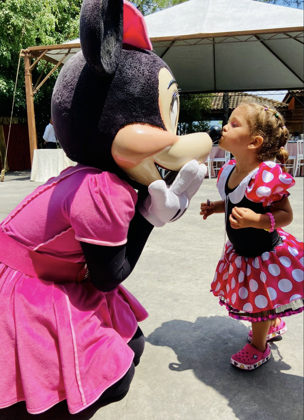 Mickey e Minnie Rosa - Imagem 2