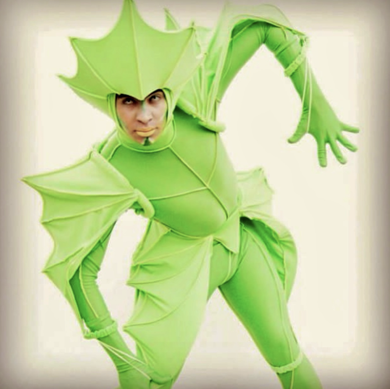 Circo Circolândia - Imagem 6