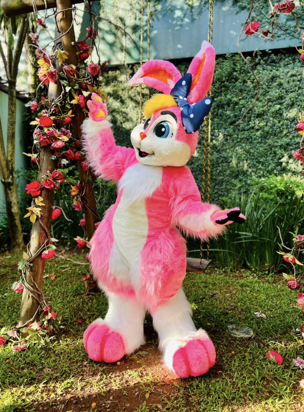 Família Rabíiti - Imagem 4