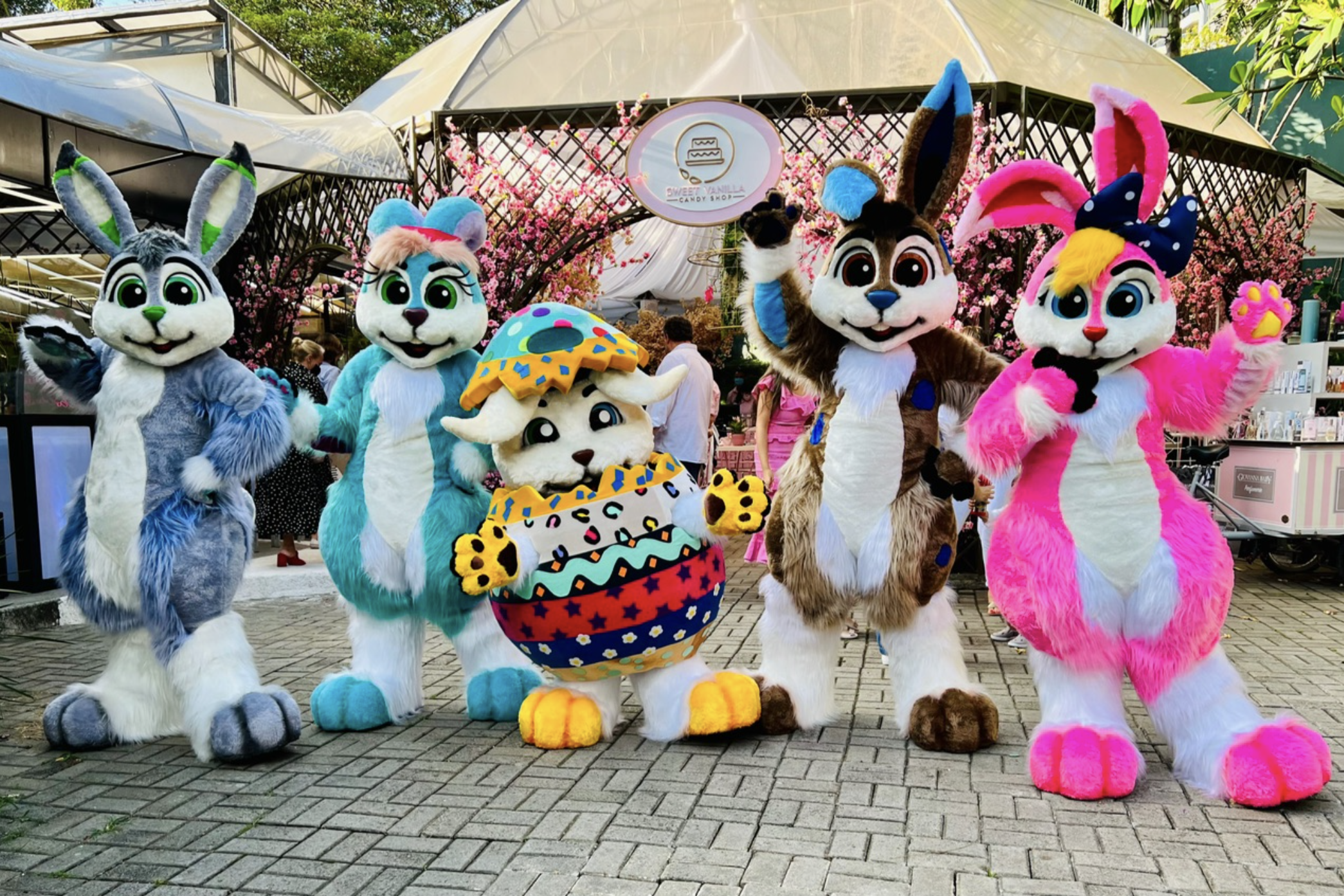 Família Rabíiti - Imagem 2