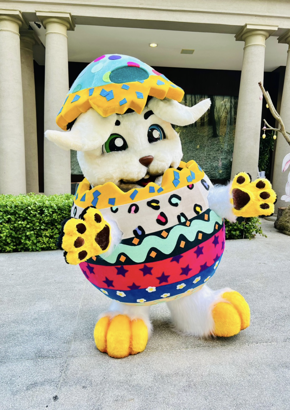 Família Rabíiti - Imagem 7