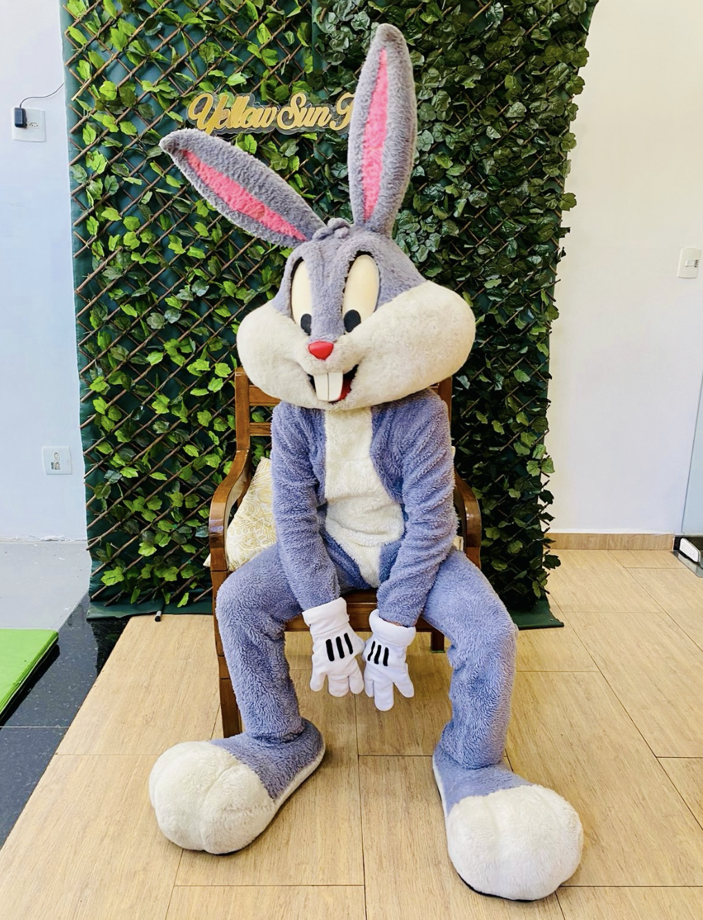 Pernalonga - Imagem 4