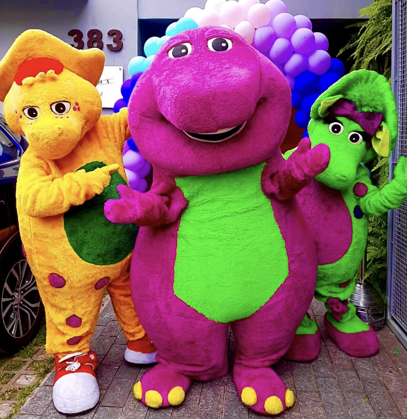 Turma do Barney