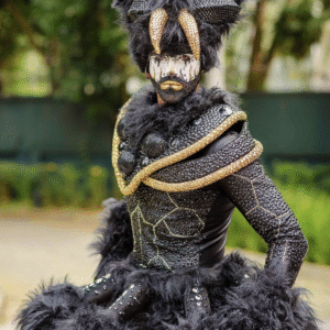Aracnídeo