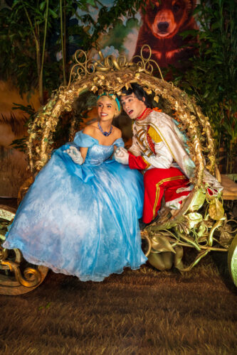 Cinderella (Desenho)