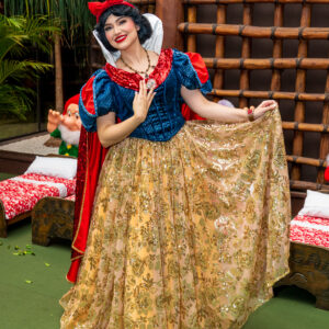 Branca de Neve e os 7 Anões