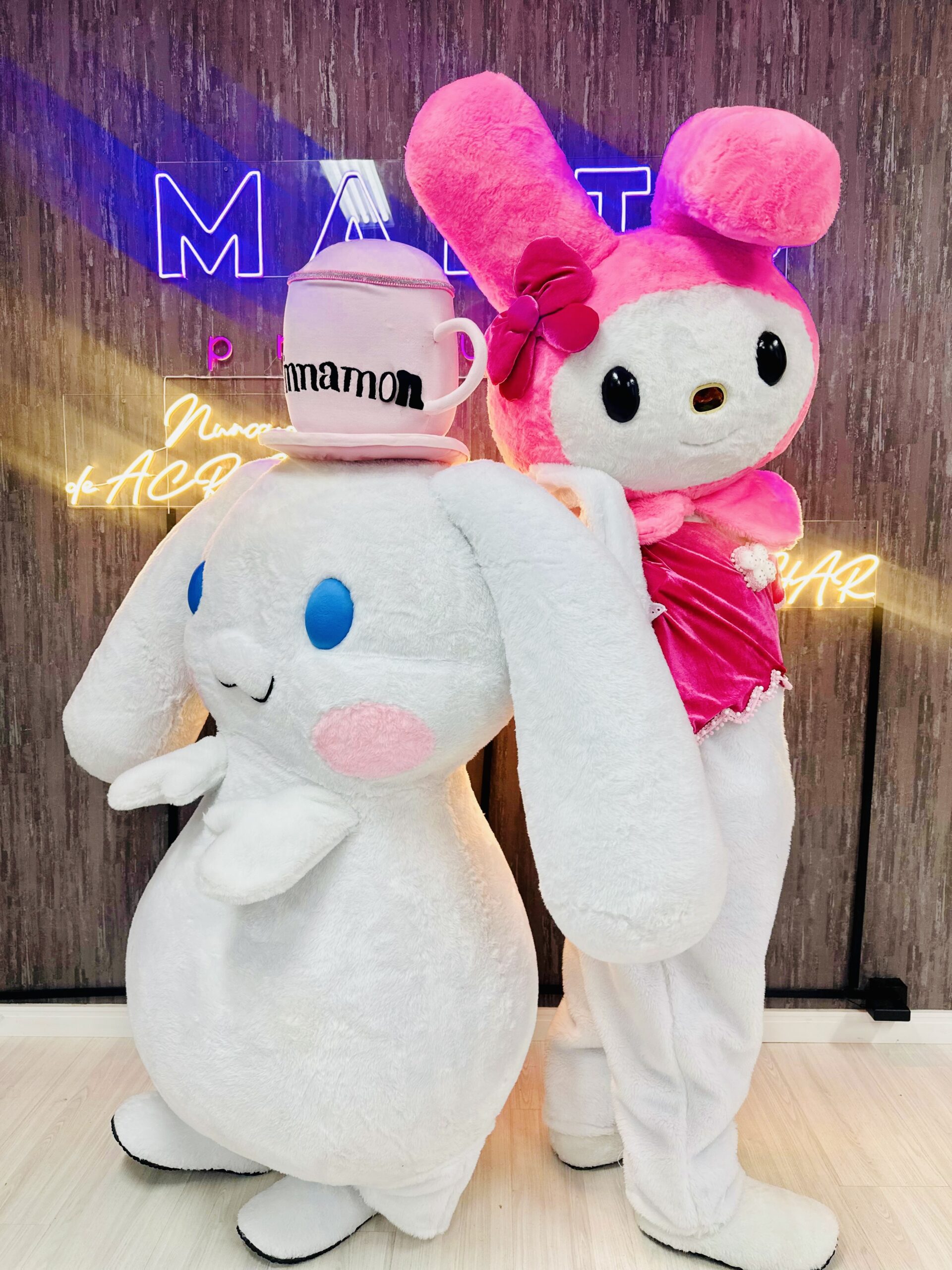 Turma da Hello Kitty - Imagem 4