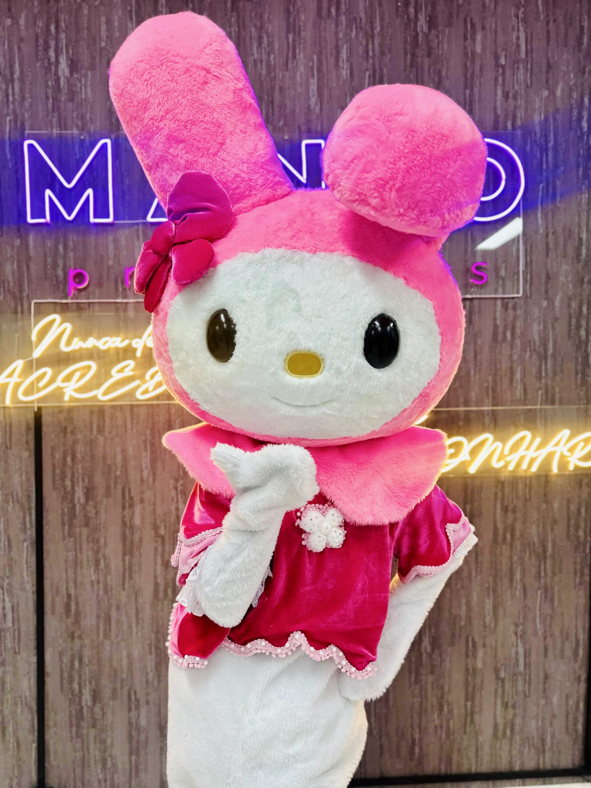 Turma da Hello Kitty - Imagem 2