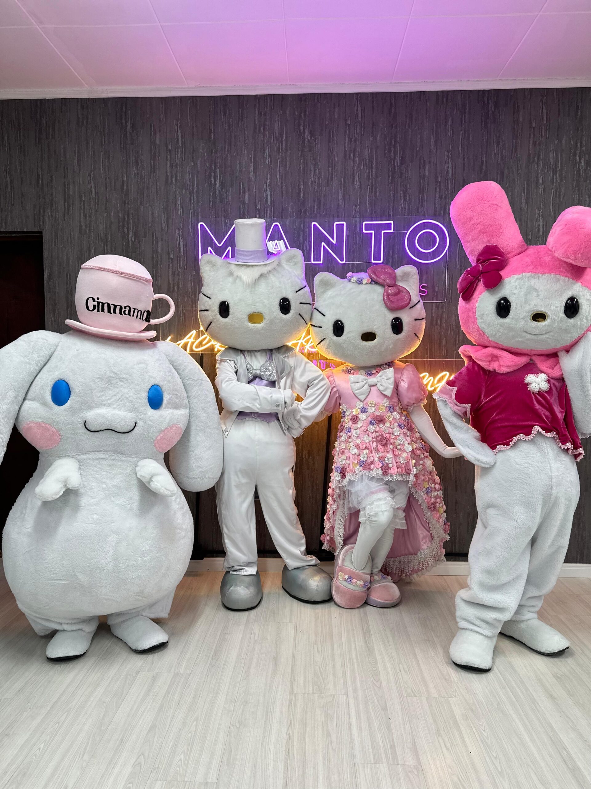 Turma da Hello Kitty