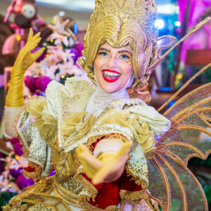 Fada Elfa da Paz (Elfo)