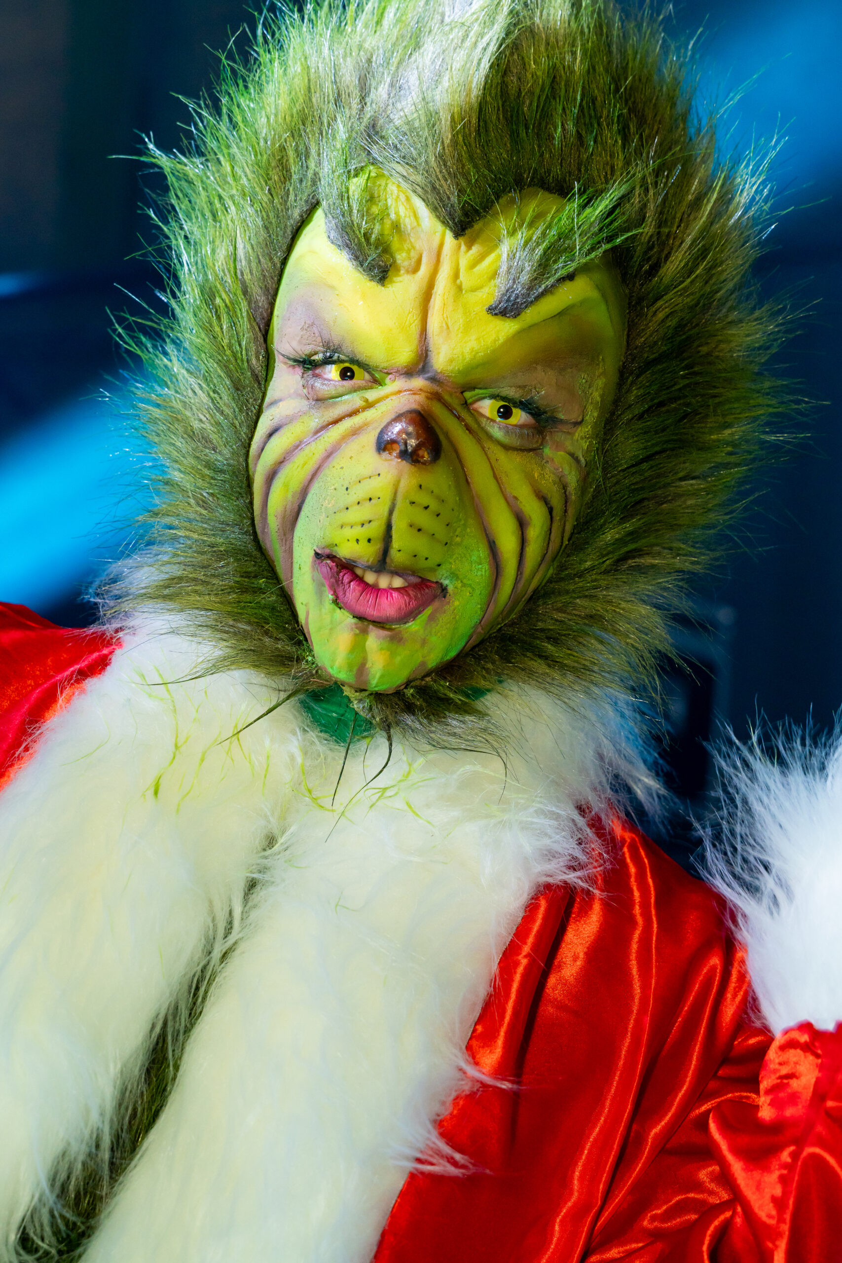 Grinch - Imagem 5