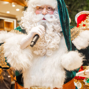 Papai Noel - Verde Imperial